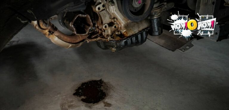is it normal for an old car to leak oil