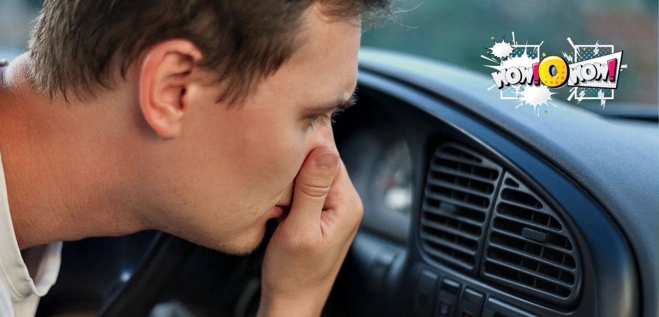 why-does-my-car-smell-like-fish-wowowow