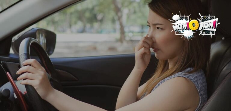 Why Does My Car AC Smell Like Pee