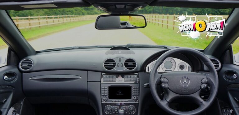 What Does DS Mean In A Car